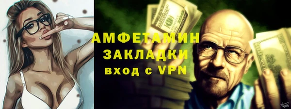 гидра Вязьма