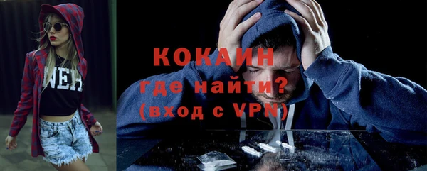шишки Вязники