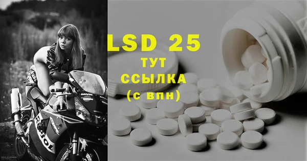 шишки Вязники