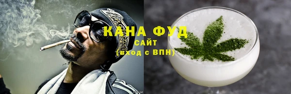 гидра Вязьма