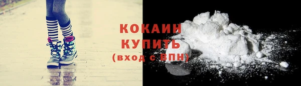 шишки Вязники