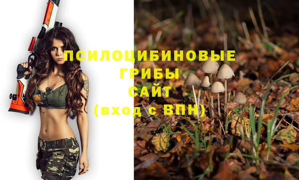 шишки Вязники