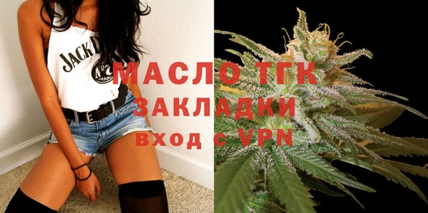 гидра Горняк