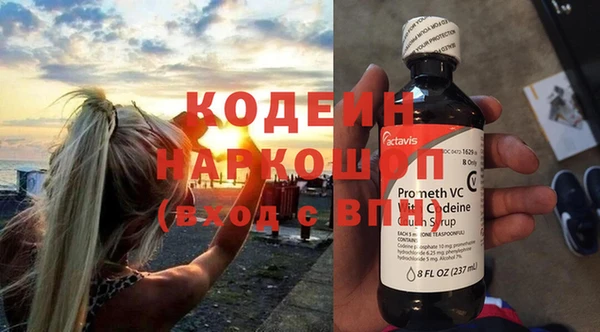 гидра Вязьма