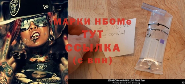 гидра Вязьма