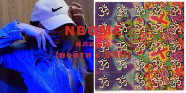 гидра Вязьма